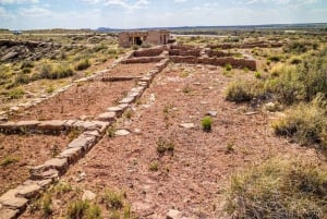 Petrified National Park: Self-Guided Driving Discovery Tour