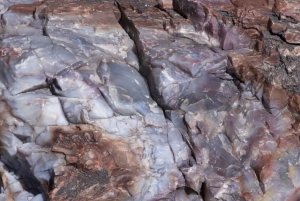 Petrified National Park: Self-Guided Driving Discovery Tour