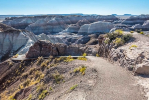 Petrified Forest National Park Self-Guided Audio Tour