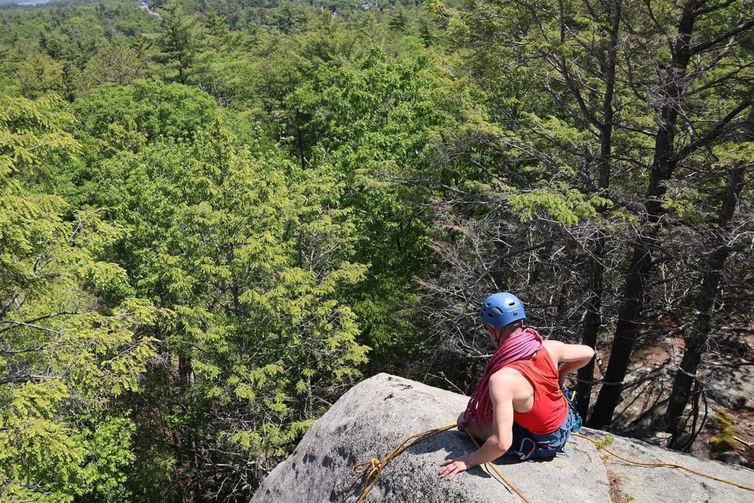 Dagsutflykt med bergsklättring på Red Rock med transfer från Boston