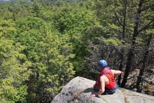 Excursion d'une journée à Red Rock pour faire de l'escalade, avec transferts depuis Boston