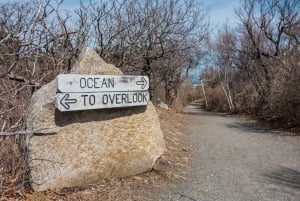 Excursión de un día de escalada en Red Rock con traslados desde Boston