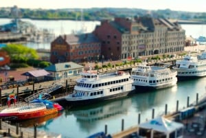 Bostonista: Pienryhmäretki Harvardin yliopistoon, MIT:hen ja Quincy Marketille