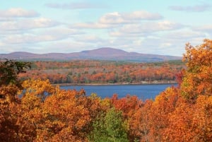 Dagstur fra Boston til New Englands botaniske hage