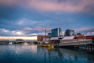 Boston: tour a piedi basato sull'app Harborwalk e Tea Party