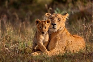 11 dias Cidade do Cabo, Parque Nacional Kruger, Cataratas Vitória e Parque Nacional Chobe