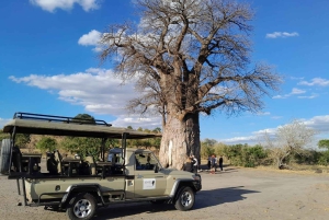 2 Day one night chobe safaris