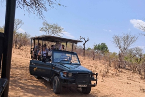 2 Day one night chobe safaris