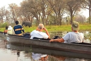 Tour di 2 giorni Delta dell'Okavango 1 notte in campeggio Bushwalk Canoa