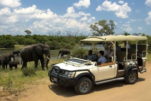 2 dias de aventura no Parque Nacional Victoria Falls Chobe