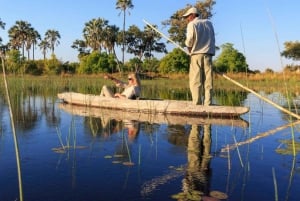 2 NETTER PÅ SAFARI I OKAVANGODELTAET I BOTSWANA