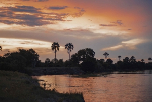 3-Day Chobe Camping Safari from Victoria Falls