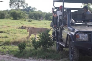 Safari in campeggio al Chobe di 3 giorni dalle Cascate Vittoria