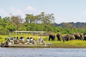 Aventura de 3 días en las Cataratas Victoria con el Parque Nacional de Chobe
