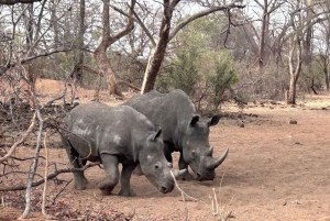 3 dager med utforskning av Zambia, Zimbabwe og Chobe Park i Botswana