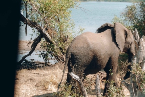 3 dager med utforskning av Zambia, Zimbabwe og Chobe Park i Botswana