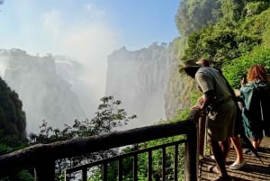 3 dager med utforskning av Zambia, Zimbabwe og Chobe Park i Botswana