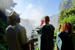 3 dager med utforskning av Zambia, Zimbabwe og Chobe Park i Botswana