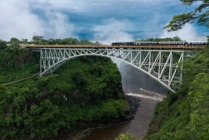 3 dager med utforskning av Zambia, Zimbabwe og Chobe Park i Botswana