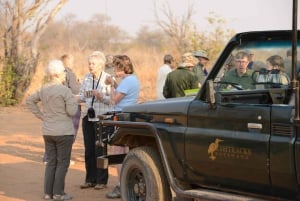 3 dager med utforskning av Zambia, Zimbabwe og Chobe Park i Botswana