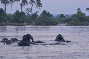 4-Day French Guided Victoria Falls -Chobe NP Package