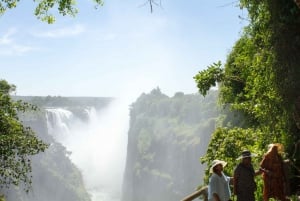4-tägiges französisch geführtes Victoria Falls-Chobe NP Paket