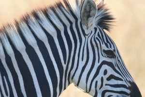 4 Days Victoria Falls Tour and Chobe Full day Safari Tour