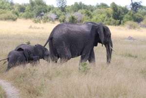 4 Days Victoria Falls Tour and Chobe Full day Safari Tour