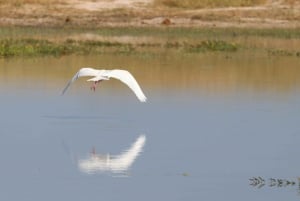 4 dagars Victoria Falls-tur och Chobe heldags safaritur