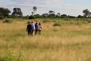 7-Day Livingstone Classic Safari Tour: Khwai, Savuti & Chobe