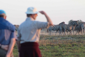 7-Day Livingstone Classic Safari Tour: Khwai, Savuti & Chobe