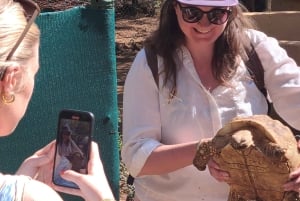 Abenteuer rund um Gaborone