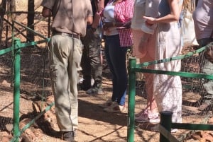 Abenteuer rund um Gaborone