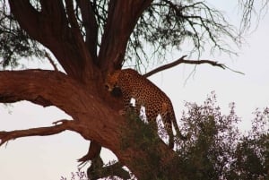 Botswana: 9-Day Chobe, Delta, and Victoria Falls Safari Tour