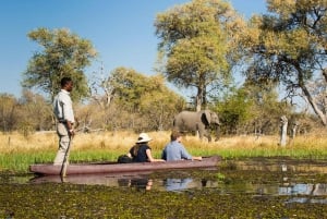 Botswana: Budget Solo Travel Guide with Local Host