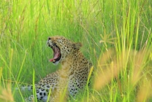 Botswana: Entdecke mit uns das berühmte Okavango-Delta