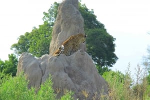 Botswana: Entdecke mit uns das berühmte Okavango-Delta