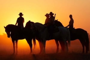 Botswana: Mashatu Game Reserve Horseback Safari