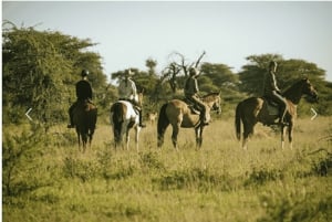 Botswana: Mashatu Game Reserve Horseback Safari
