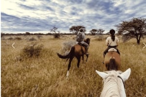 Botswana: Mashatu Game Reserve Horseback Safari