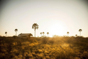 Top 7 lodges to experience San culture