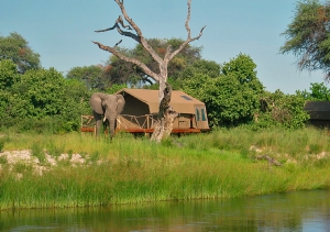 Camp Savuti