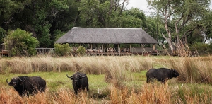 Chitabe Lediba Camp
