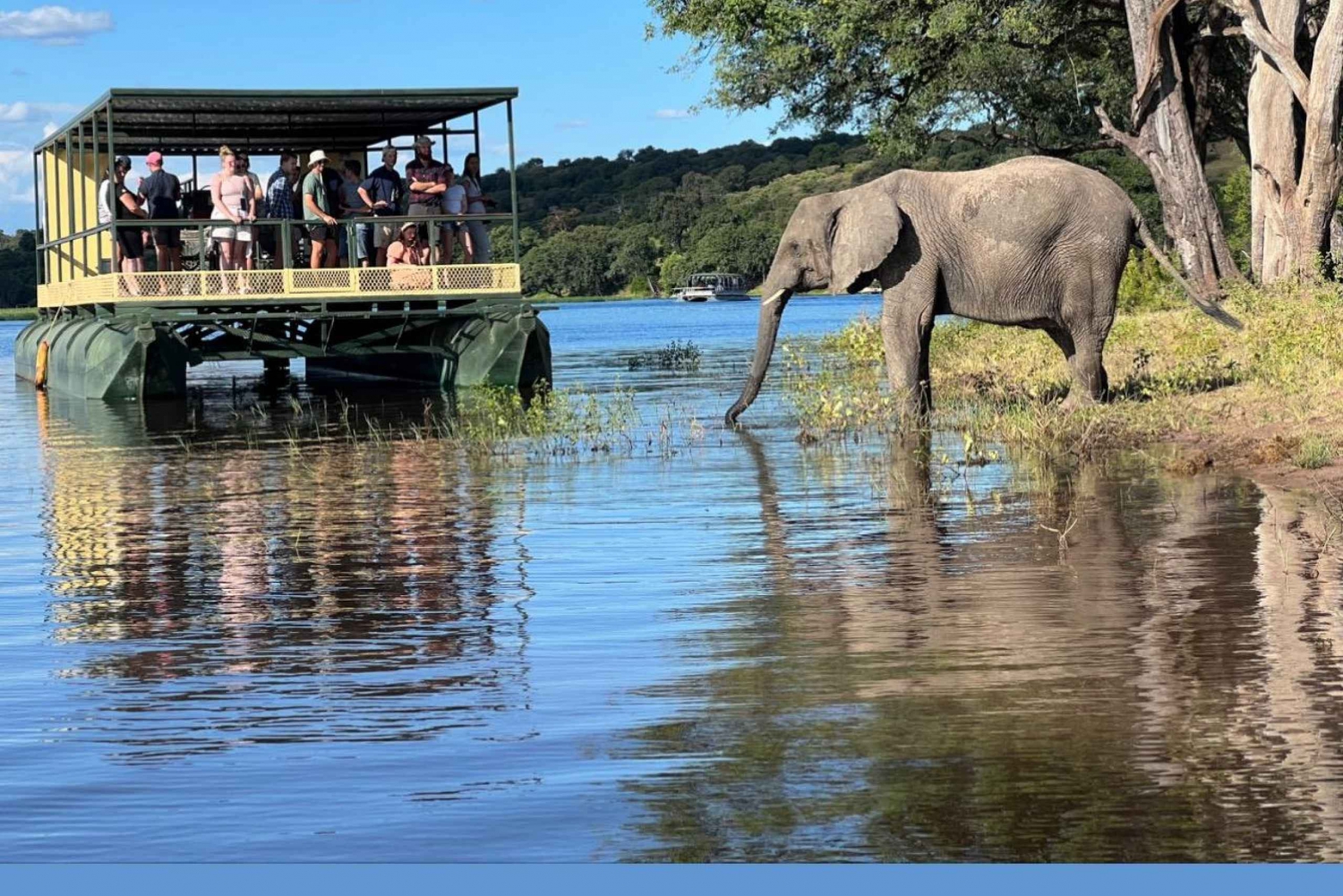 Chobe Day Safari and Boat Safari From Victoria Falls - 8hrs