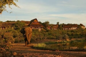 Chobe Day Trip From Livingstone Town