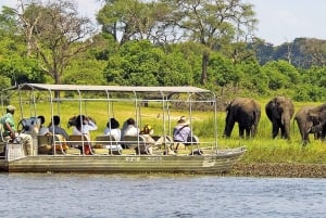Viagem de 1 dia a Chobe a partir da cidade de Livingstone