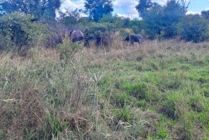 Chobe day trip from Victoria Falls- 06:30am to 18:30 hours