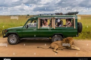 Chobe day trip from Victoria Falls- Sun rise to sunset