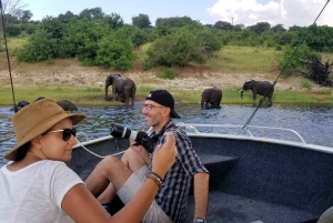 Excursión de 1 día a Chobe desde las cataratas Victoria, Zimbabue
