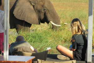 Excursión de 1 día a Chobe desde las cataratas Victoria, Zimbabue